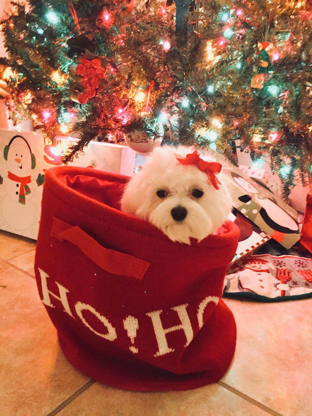 547d5e45-cb46-4b5d-a23a-dc9ec21dde16