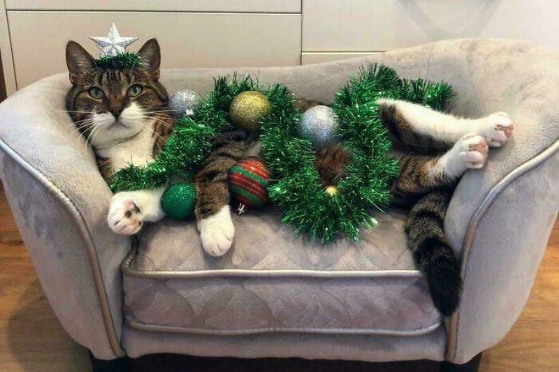 61b85734b4ecc_9ytibmsmlo421__700