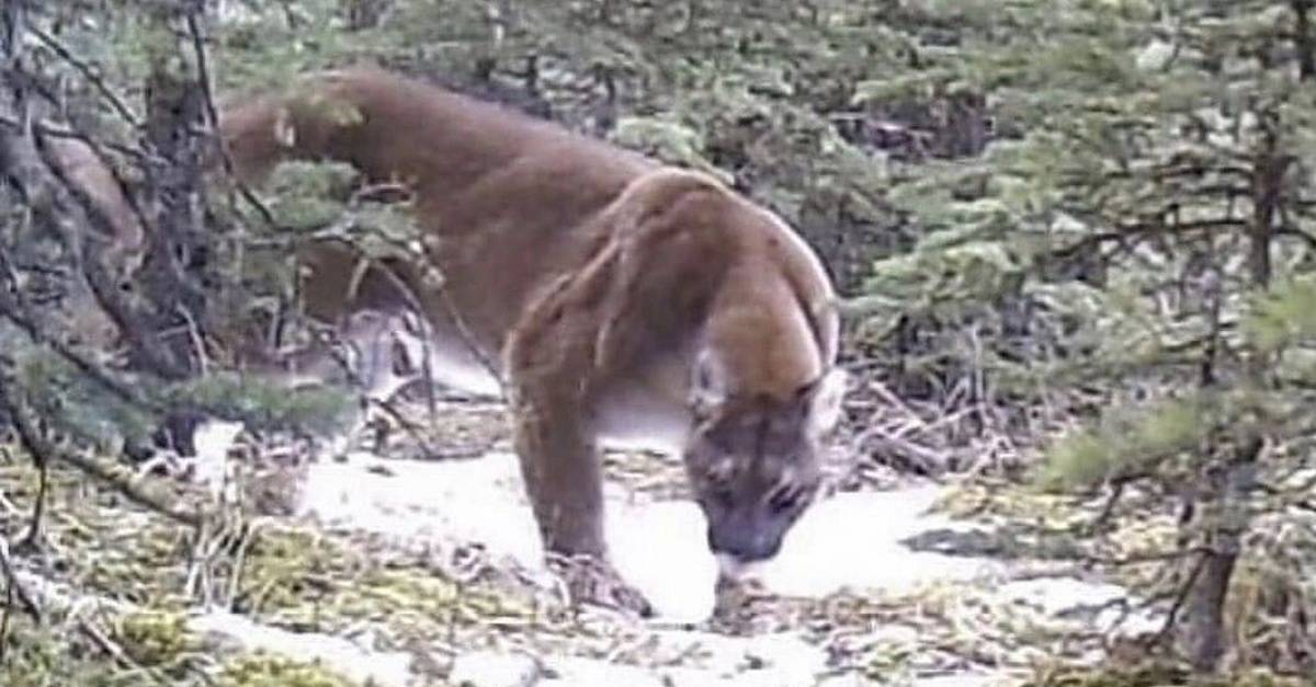 heraldweekly.com-3e77a853cf74b0d65c930ef9e697c36d