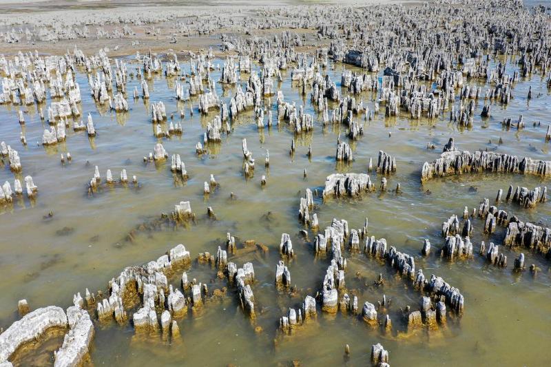 GettyImages-1244035318