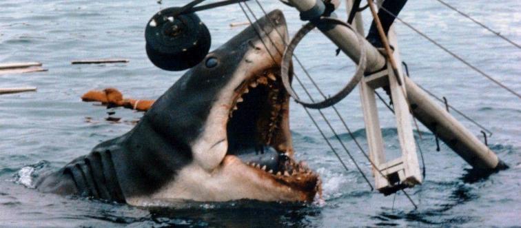 Jaws attacking Roy Scheider as Cheif Martin Brody amid ruins of boat