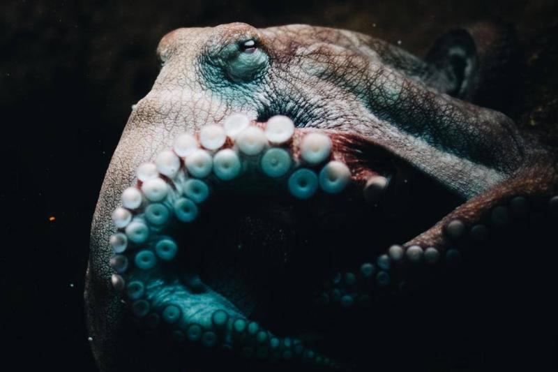 qijin-xu-pSmXVhWr9kE-unsplash qijin-xu-pSmXVhWr9kE-unsplash