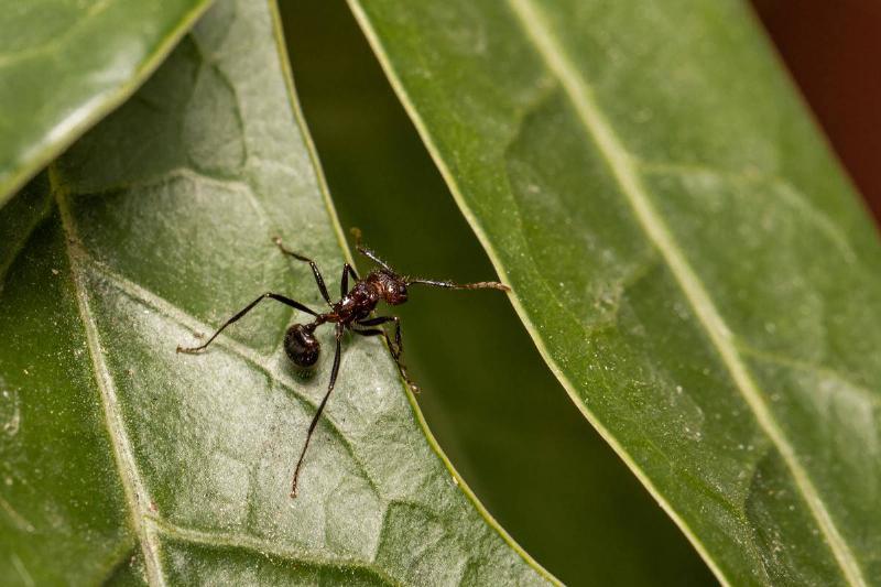 syed-ali-kqyoBAFP6ps-unsplash