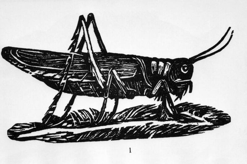 GettyImages-517357952