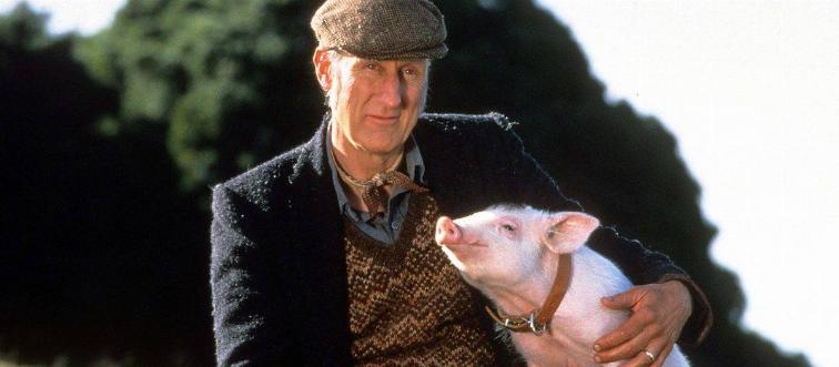 James Cromwell cuddling pig as Farmer Arthur Hoggett in Babe