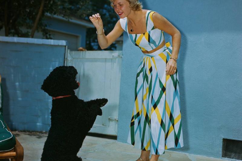 Doris Day