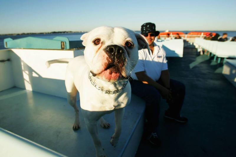 Fire Island Ferry
