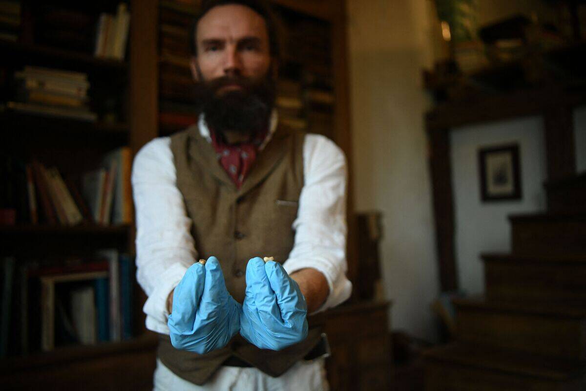Ludovic Slimak, French National Centre for Scientific Research (CNRS)  researcher and archaeologist of the University of Toulouse, poses with 
the milk teeth of a Homo Sapiens and a Neanderthal at his home in 
Saint-Laurent-sur-Save, southwestern France, on February 11, 2022.