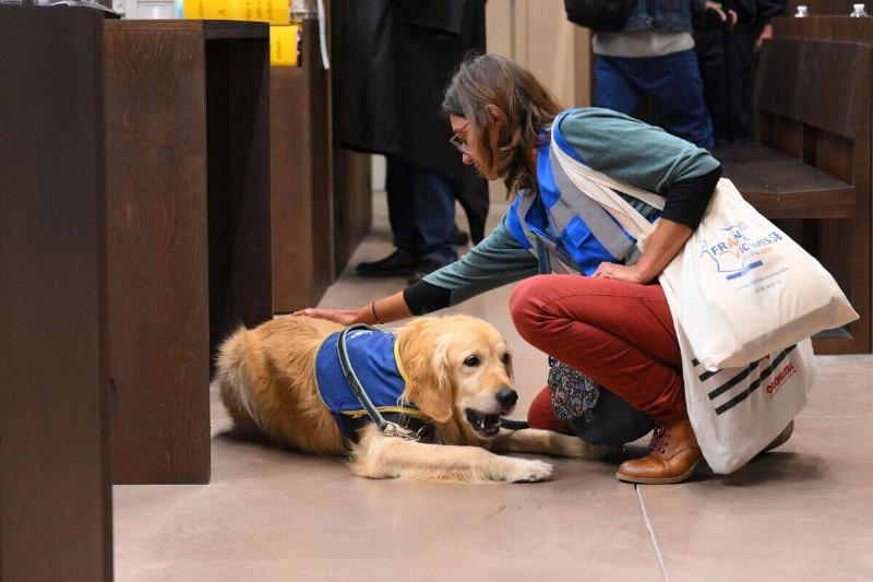 A member of a victim assitance association pets a service dog before the  opening of the trial of the Millas case in Marseille, southern France, 
on September 19, 2022. The presence of an emotional support dog during 
the hearing allows attendees to relax and express themselves freely.