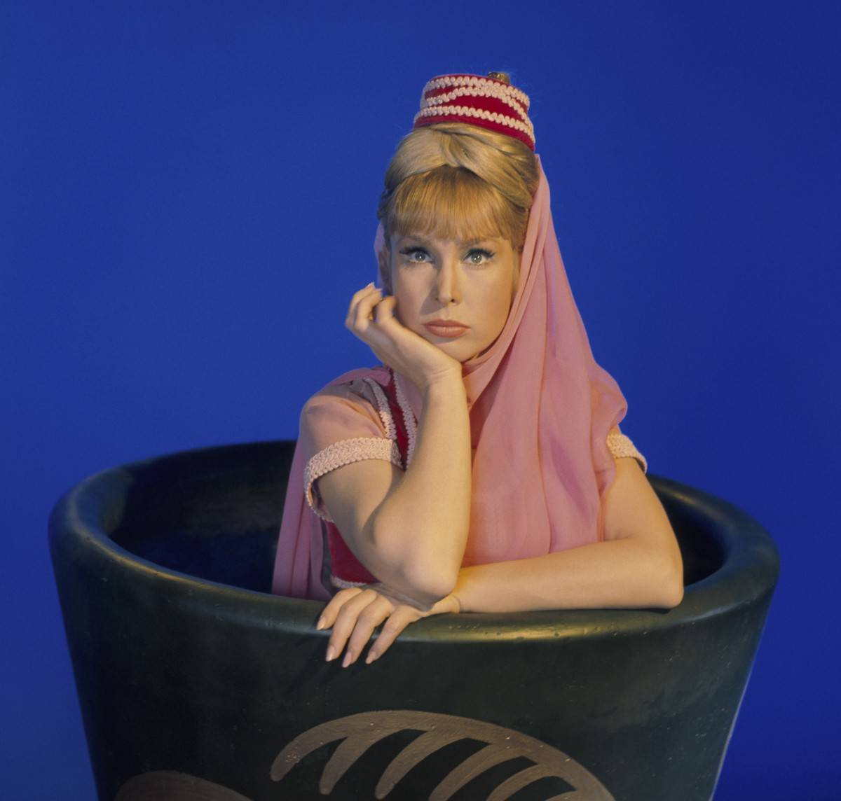 i dream of jeannie barbara eden
