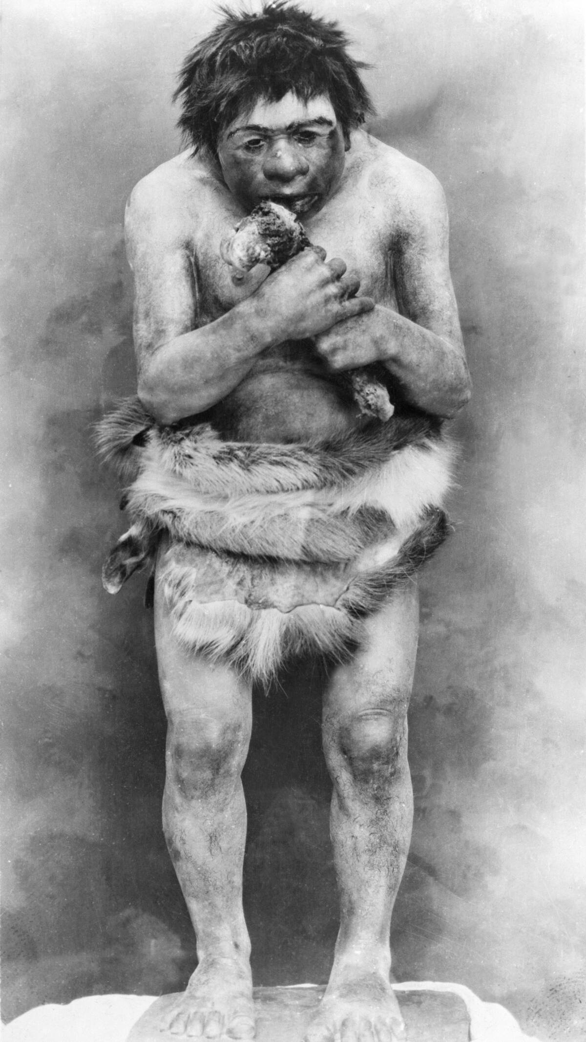 Neanderthal Man Chewing Bone
