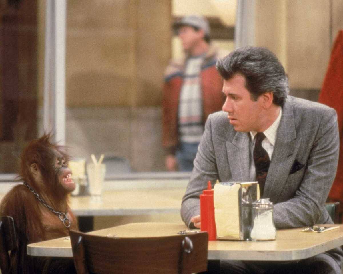 night court businessman sitting with a monkey