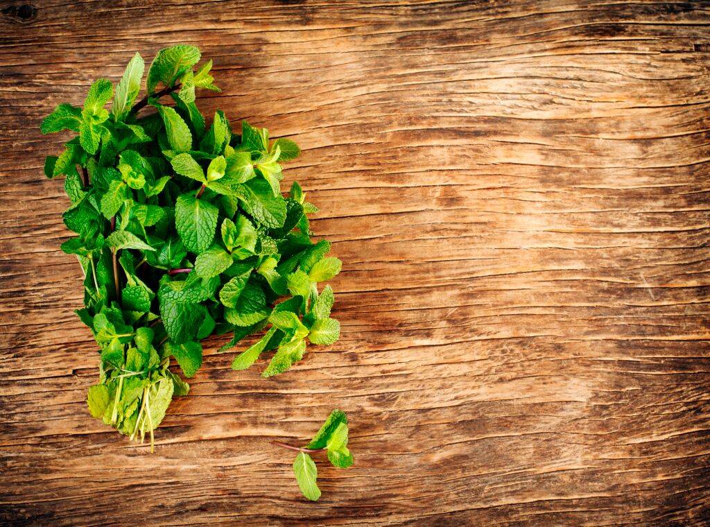 Fresh mint leafs on wooden background