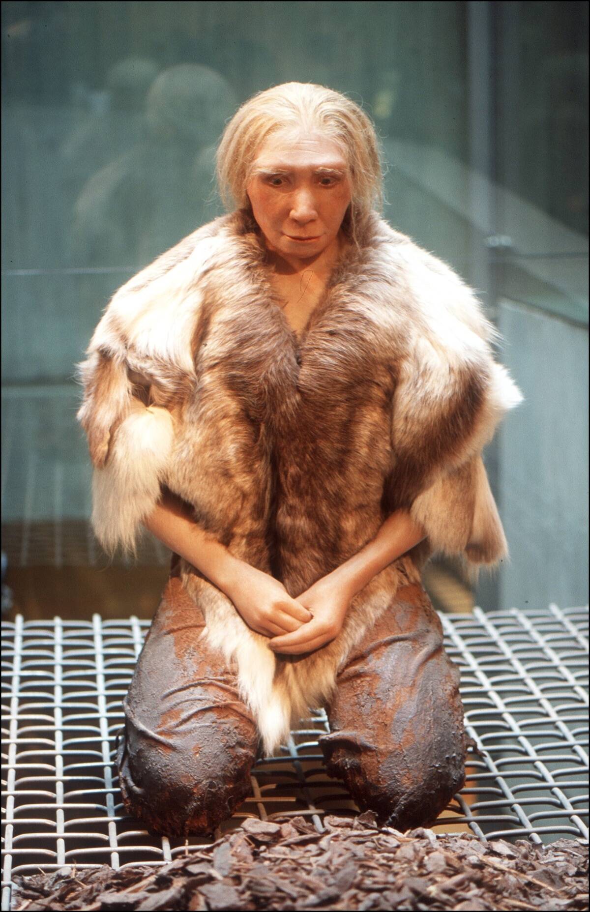 Presentation Of Newly-Discovered Neanderthal Man Fossilized Bones. On March 20th, 1999. In Mettmann, Germany