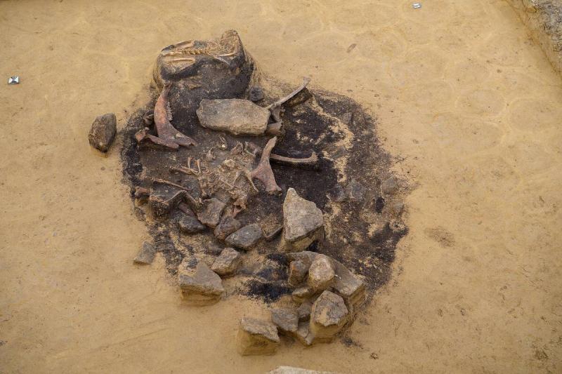 Sacrificial shaft discovered near stone box grave near Halberstadt