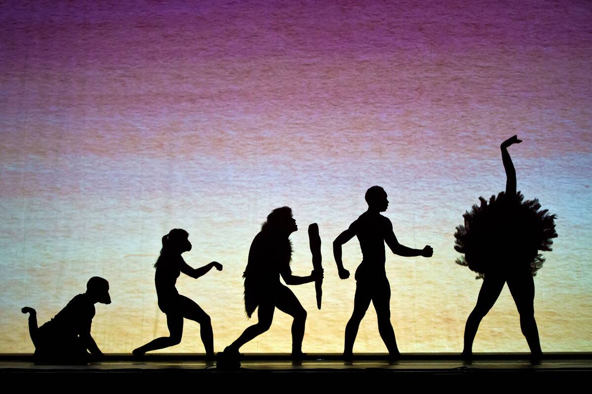 'Shadowland 2 - Neues aus dem Reich der Schatten' Rehearsal In Berlin