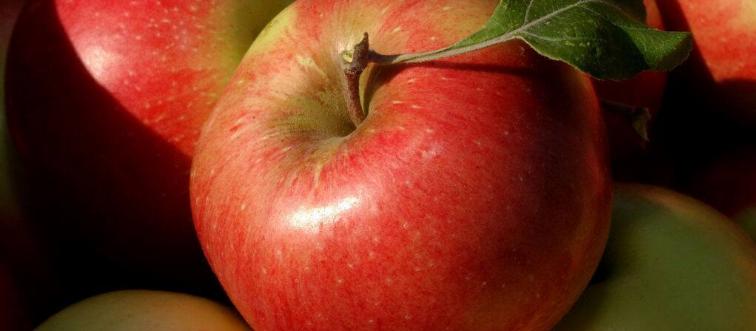 Apples