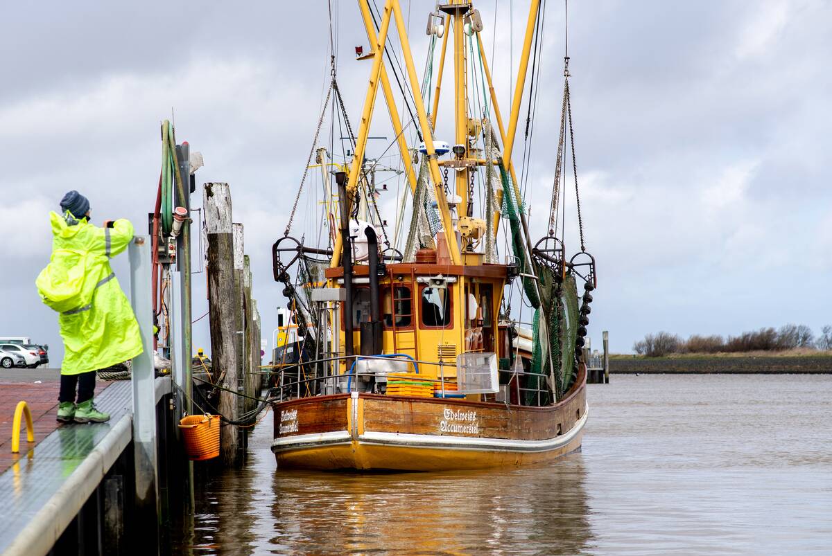 Lower Saxony, Bensersiel: A woman takes a picture of a crab cutter moored on a quay wall in the harbor in changeable weather.