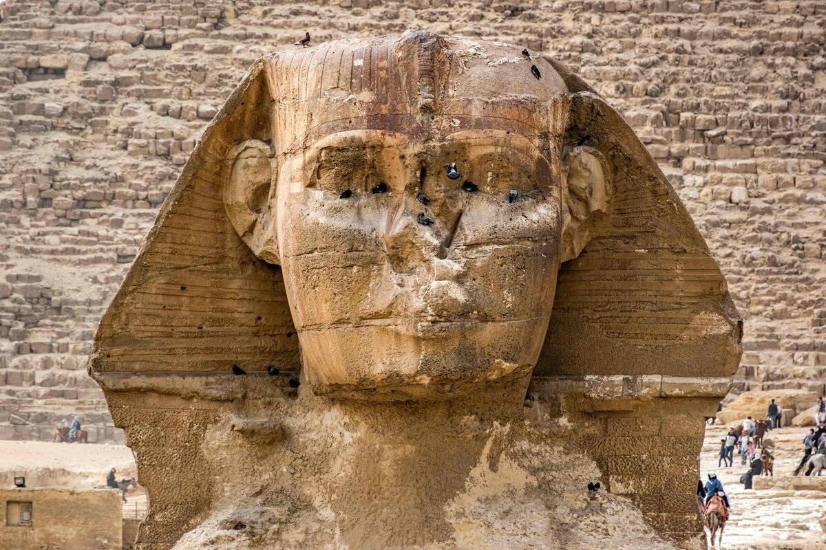 In this picture taken on February 6, 2023 a pigeon approaches to land on the face of the Great Sphinx at the Giza Pyramids necropolis on the outskirts of the Egyptian capital.