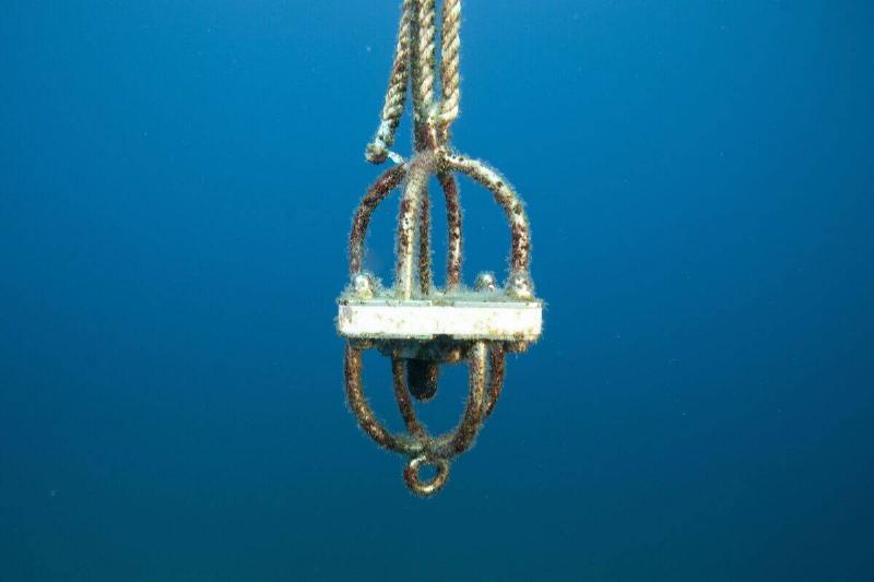 A hydrophone floats in the water off the coast of the Ajaccio, the capital of the French Mediterranean island Corsica on September 11, 2019 as part of the 'sea@dvanced sound' project.