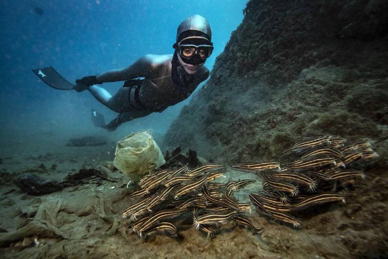 Catfishes, known as invasive species and increasing in number in recent years, living with hundreds of plastic waste at the bottom, are seen during the awareness dive of Sahika Ercumen, United Nations Development Program (UNDP)