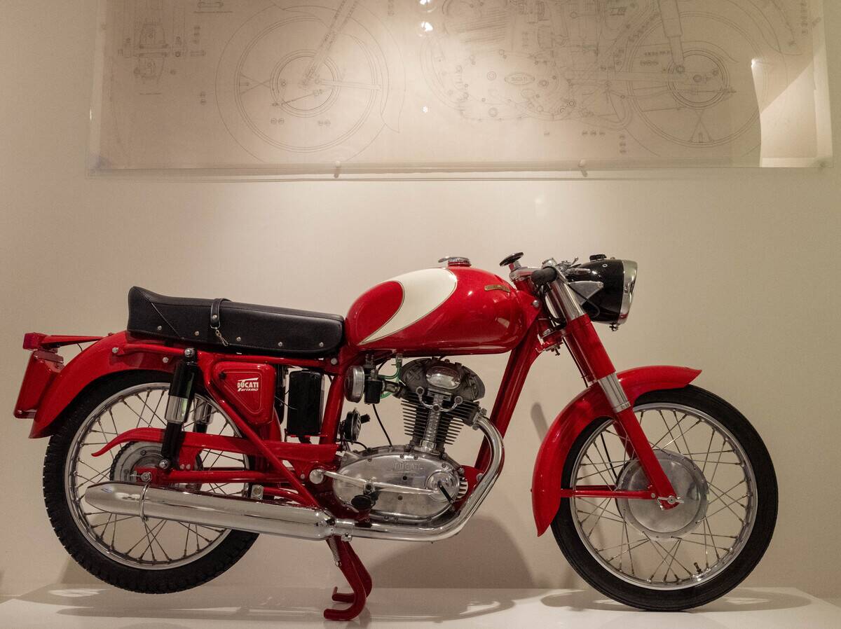 46075056881_06729f5ac4_o