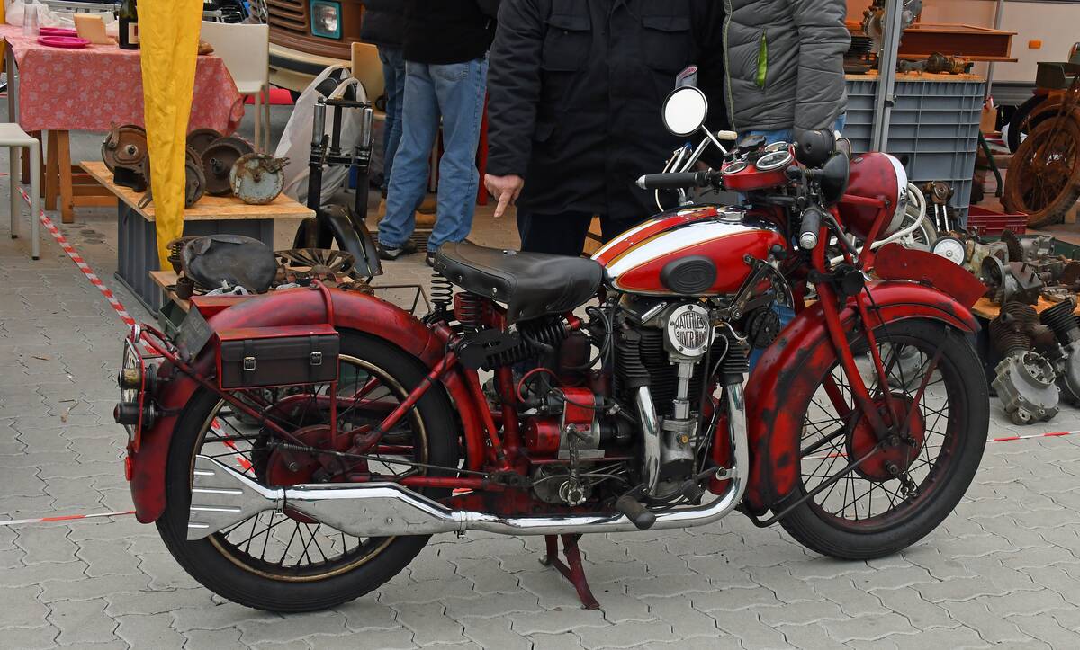 49687427621_1888b072d5_o