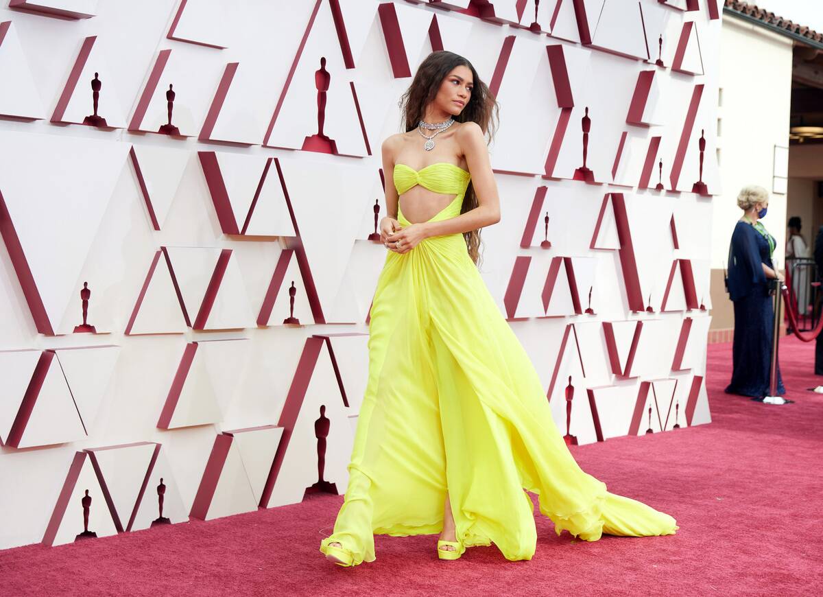 93rd Annual Academy Awards - Arrivals