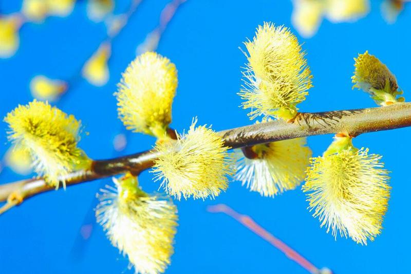 GettyImages-551252387