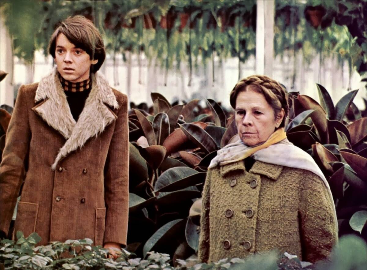 bud cort in harold and maude