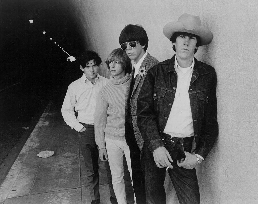 grass roots black and white photo