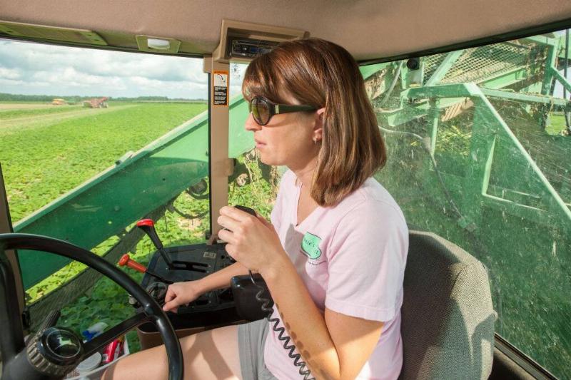 Cucumber harvester truck