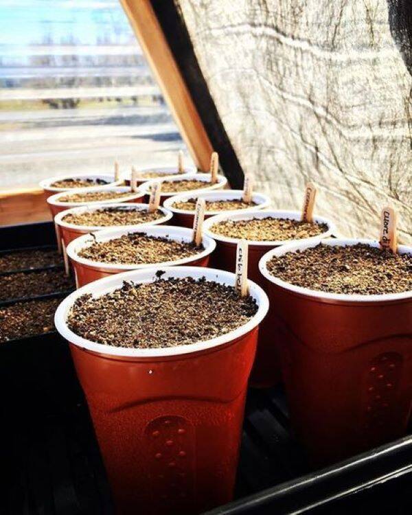 a2eb1f819b16b77bfa4e47458d8b2000