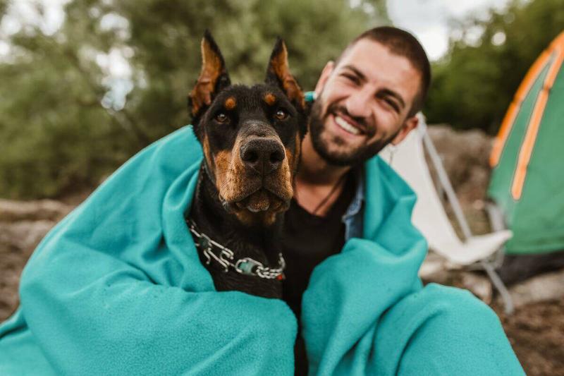 doberman pinscher man and doberman pinscher wrapped in a blanket