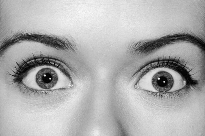 06 Aloe Vera 14 06 Aloe Vera 14