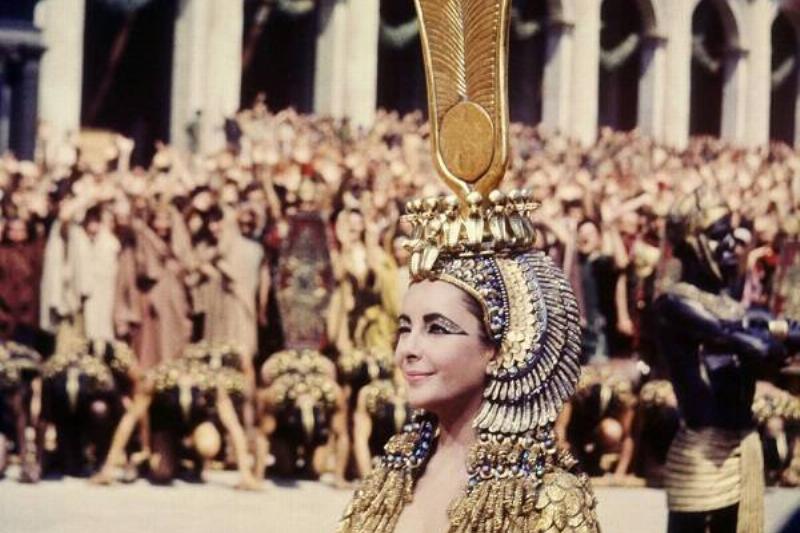 06 Aloe Vera 15 06 Aloe Vera 15