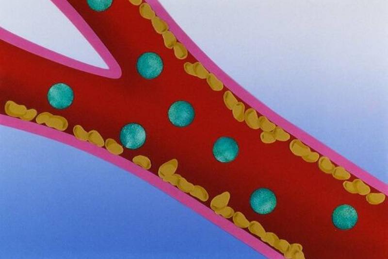 06 Aloe Vera 5 06 Aloe Vera 5