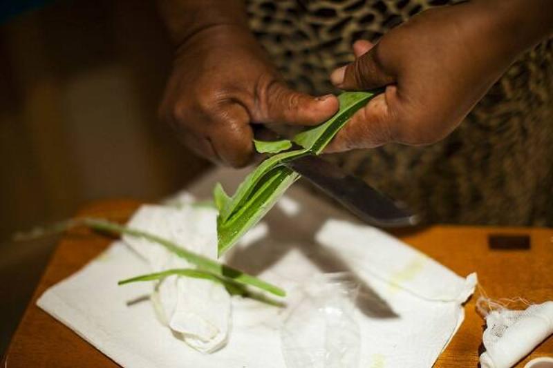 06 Aloe Vera 6 06 Aloe Vera 6