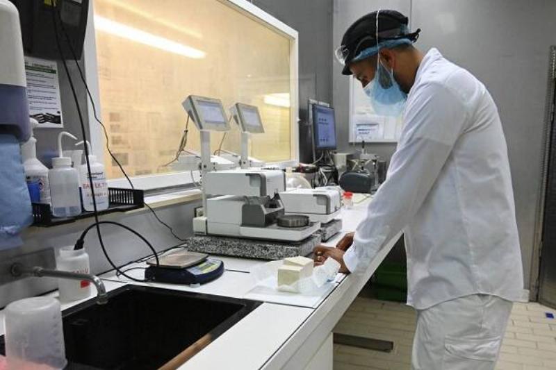 06 Aloe Vera 9 06 Aloe Vera 9