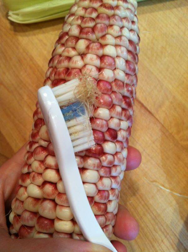 466becc11fe1643ff4abe7044cc8a1fd