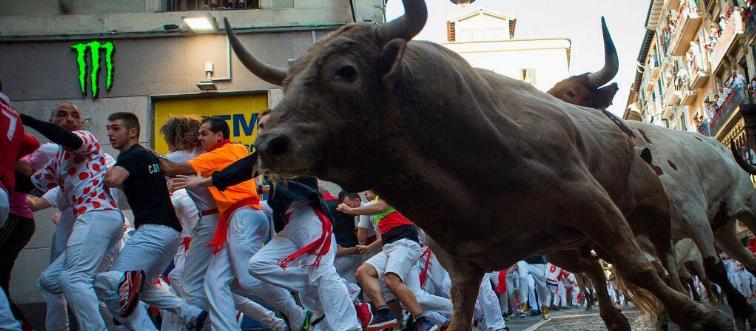 Running of the bulls