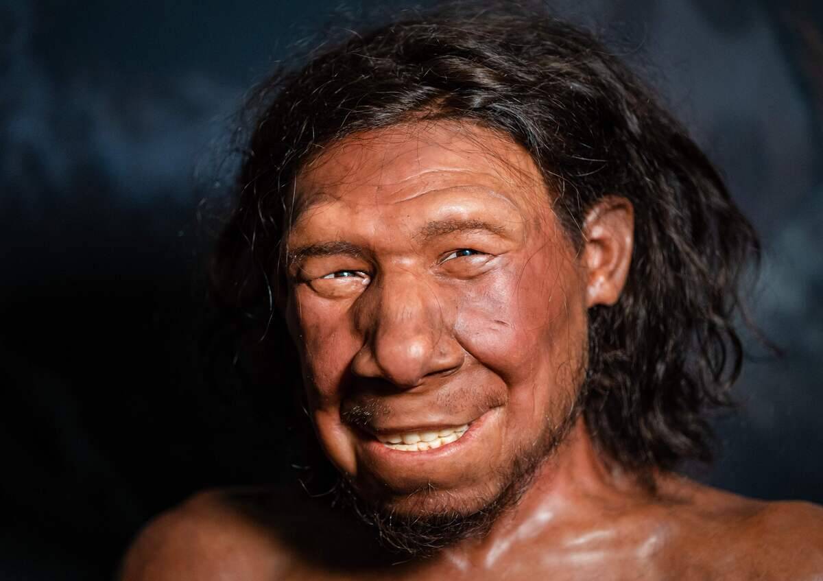 NETHERLANDS-SCIENCE-HUMAN-NEANDERTHAL-MUSEUM