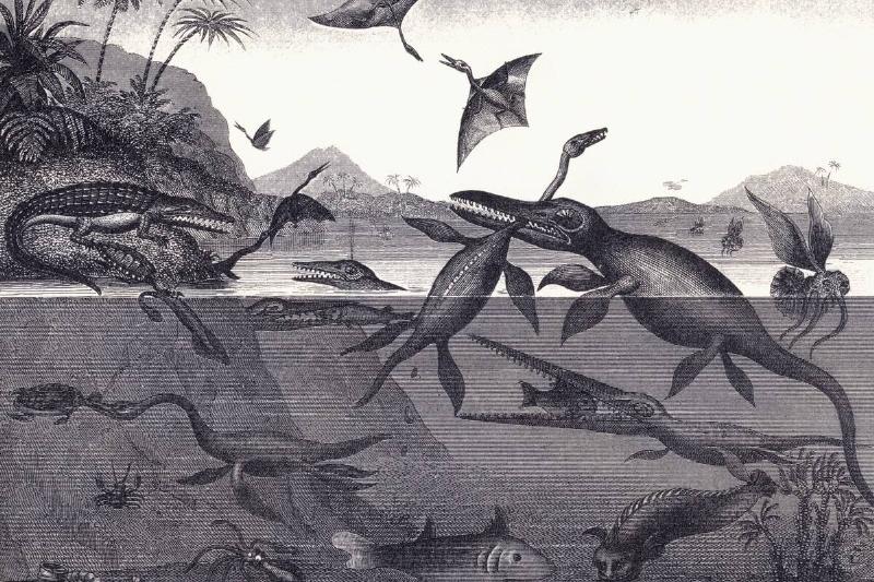 Prehistoric Animals Of The Lias Group