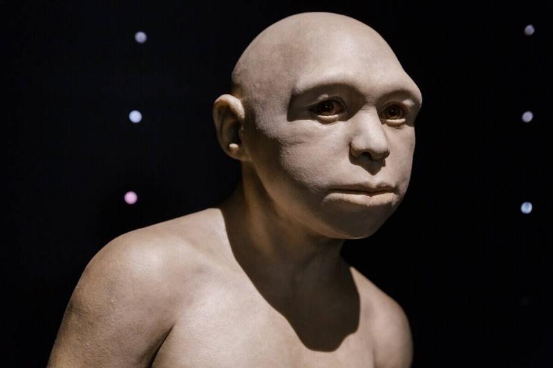 SPAIN-ARCHAEOLOGY-HISTORY-ATAPUERCA