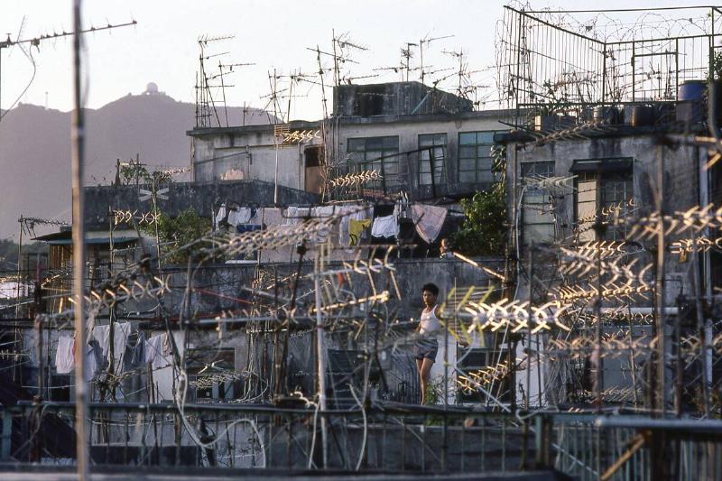 Boy Flies Kite among TV Aerials on Rooftop of Building in Kowloon Walled City, Hong Kong circa 1979