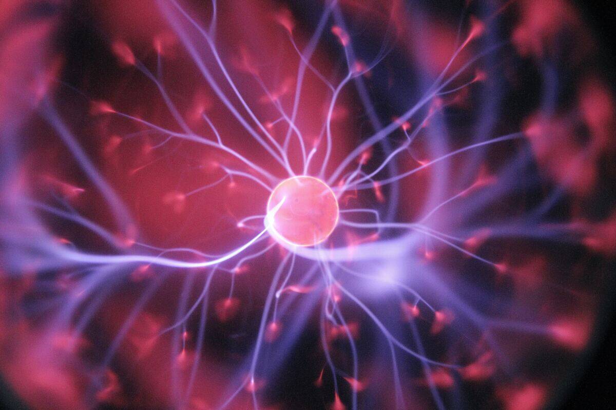 cells in a body