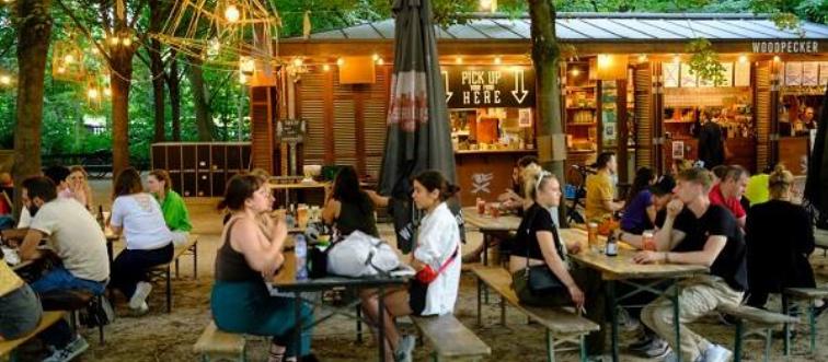 05 Examen Primaria 11