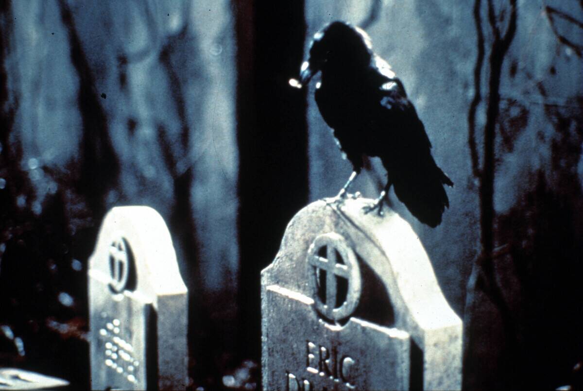 The Crow
