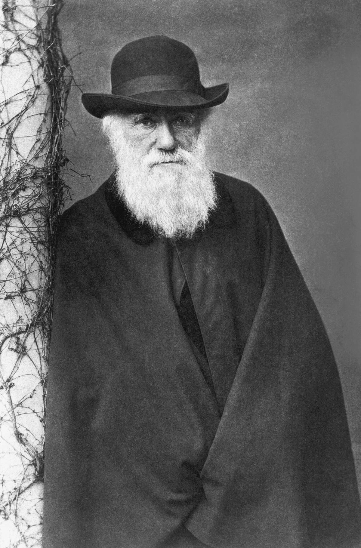 Charles Darwin