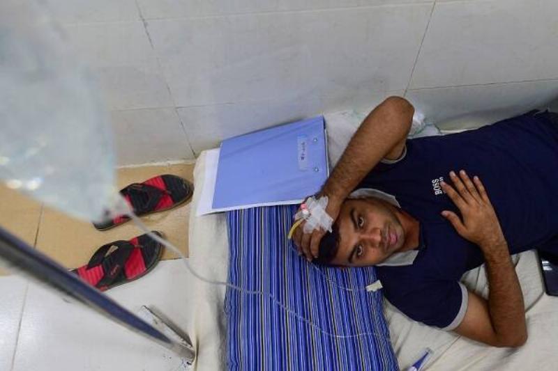 09 Hierba Ruda 14 09 Hierba Ruda 14